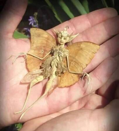 Fairy Creations