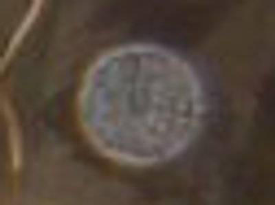 twinkle_eye_chi2.jpg