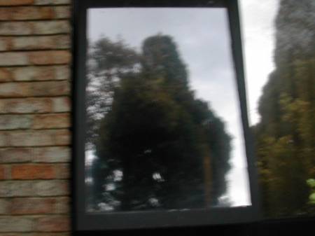 window5242.jpg