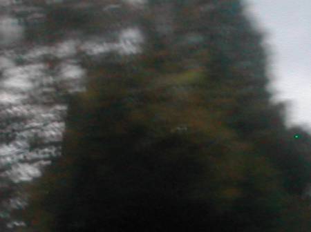 window5242b.jpg
