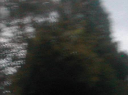 window5242c.jpg