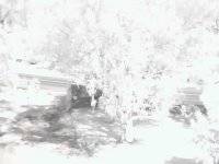 j140409aa.jpg