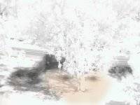 j140409a.jpg