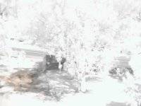 j140409b.jpg
