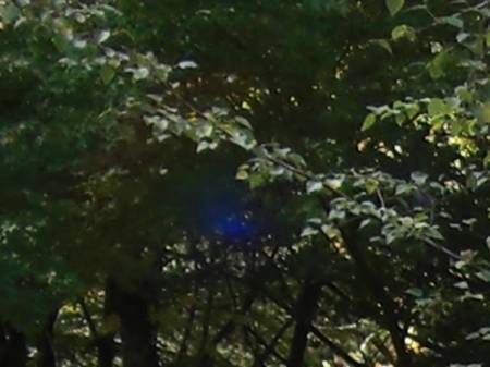 blue0618c.jpg