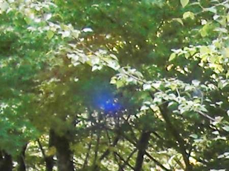 blue0618d.jpg